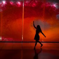 Maria Schaaf profile picture