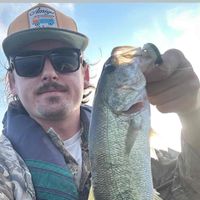 Beau Barkley profile picture