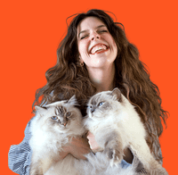 Allyson Vaillette profile picture