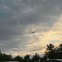 Aya Alsharif profile picture