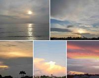 Natasha Webb profile picture