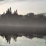 Isabella Picazo profile picture