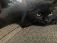 books&bikinis profile picture