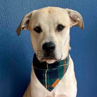 Keeping Up With Obi profile picture