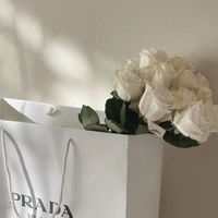 Angel profile picture