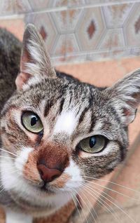 Juanma's things profile picture