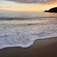 Ellen Deacon profile picture