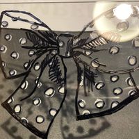 Stephanie Chelf profile picture