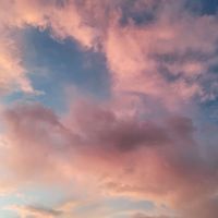 Sharee Piamonte profile picture