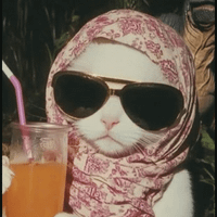 Julia Prewitt profile picture