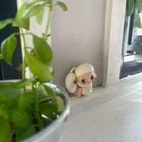 Ellie Parker profile picture