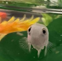 slightlyspontaneous profile picture