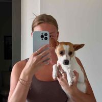 Eden Schipper profile picture