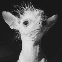 Jill Nicoll profile picture