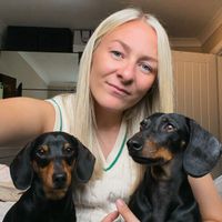 Beth Pabs Frank profile picture