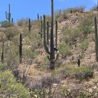 Jodi Kay profile picture