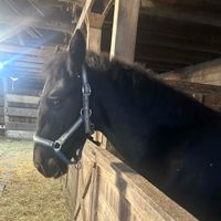 whitney wilson profile picture