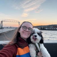 M Wolfe profile picture