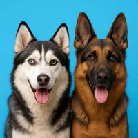 Brenda profile picture