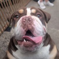 Stacie Fletcher profile picture