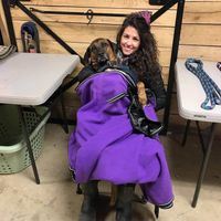 Alison mattis profile picture