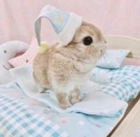 Emily 🩰🐇 profile picture