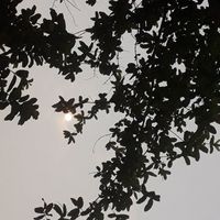 Isha Kumari profile picture