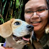 Donna Lynn Tan profile picture