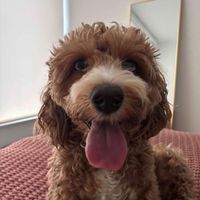 Sky profile picture