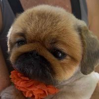 Emily McClain profile picture