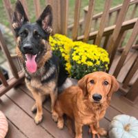 Rebecca Brown profile picture