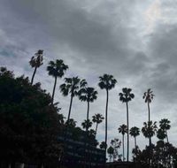 Kirsten profile picture