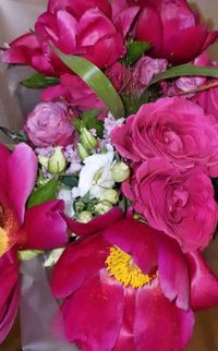 A Lovely Life profile picture