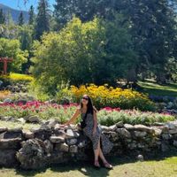 Arveen Mann profile picture