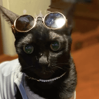 ivy_thissmalllife profile picture