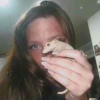 Kyn Buckingham profile picture