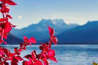 Jamie J profile picture