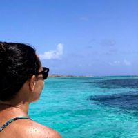 Ann Morton profile picture