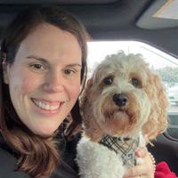 Stephanie D’Angelo profile picture