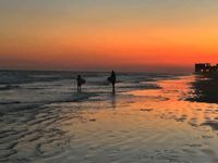 Lyndzie Kolb profile picture