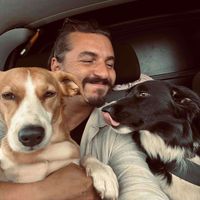 Alex P profile picture