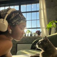 Organization ✨ profile picture