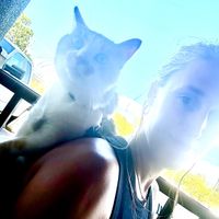 Tracey Paglicci profile picture