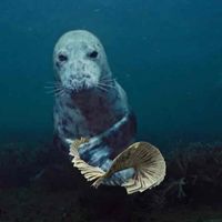 Jaire Carter profile picture