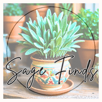 Marinel Obias profile picture