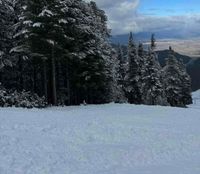 Lorena Fazliu profile picture