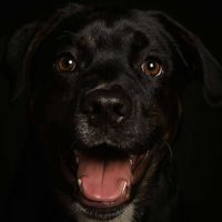 Marieee profile picture