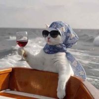 Yuli 💕 profile picture