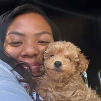 Milo & Rika profile picture