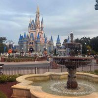 Kassandra O’Connell profile picture